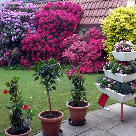 アパート Neubacher ウールディンゲン・ミュールホーフェン